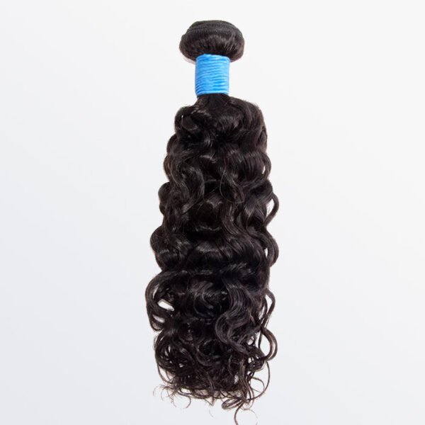 BooShai’s Glam Bar 10-30 Inch Water Wave Virgin Brazilian Hair #1B Natural Black